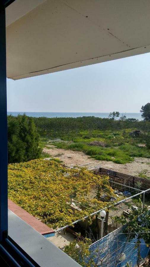Il Mare Villa Larnaca Buitenkant foto