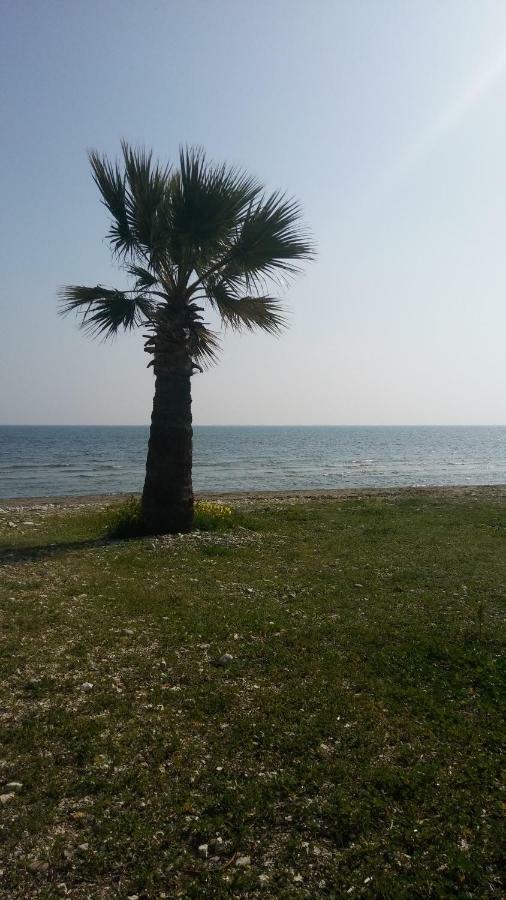 Il Mare Villa Larnaca Buitenkant foto